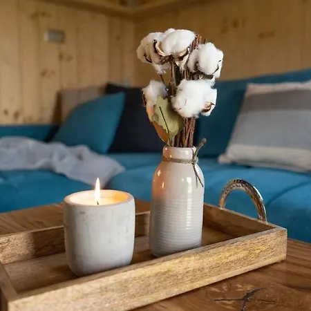 A Nest Under The Karawanks *