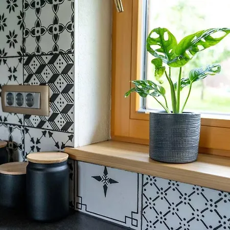 A Nest Under The Karawanks * Zirovnica