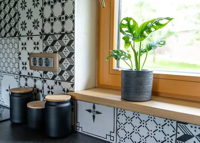 A Nest Under The Karawanks * Zirovnica