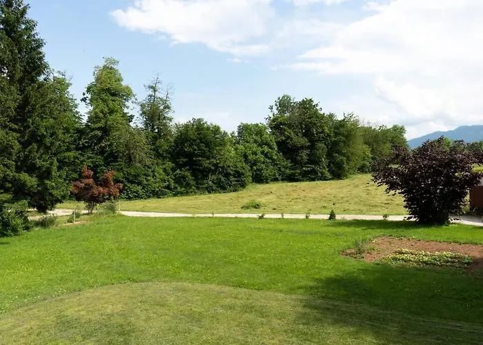 A Nest Under The Karawanks Zirovnica